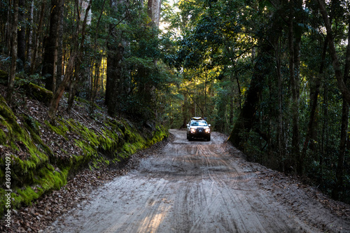 Off road vehicle in rainforest