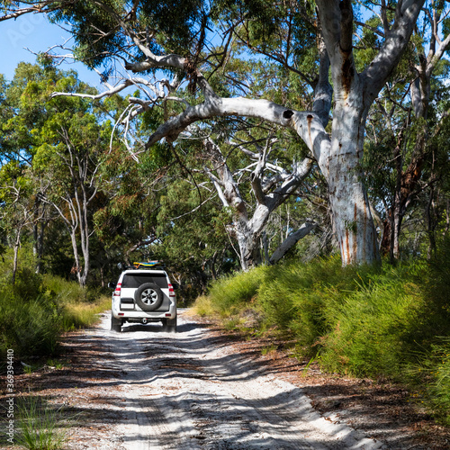 Off road vehicle driving through Fraser Island