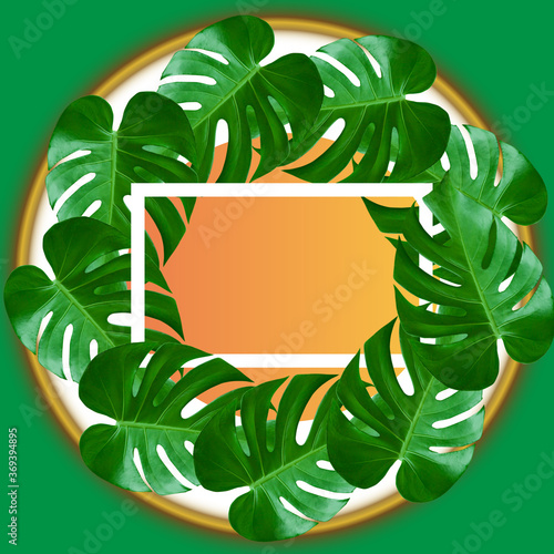 green leaves frame