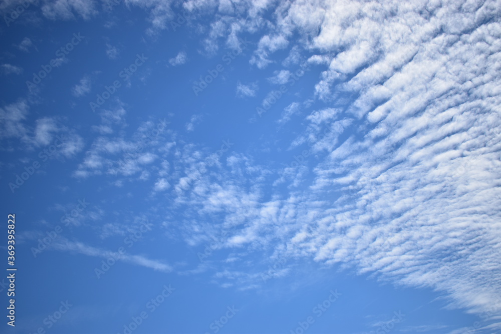 Fototapeta premium blue sky with clouds