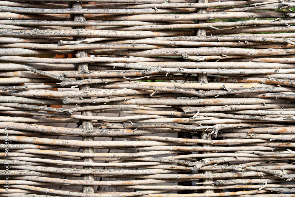background of wicker tree. light version background of wicker tree. light version
