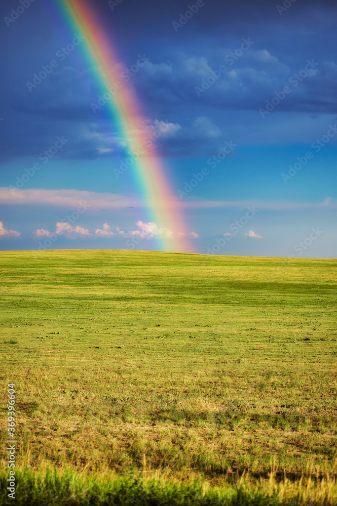 rainbow over green field