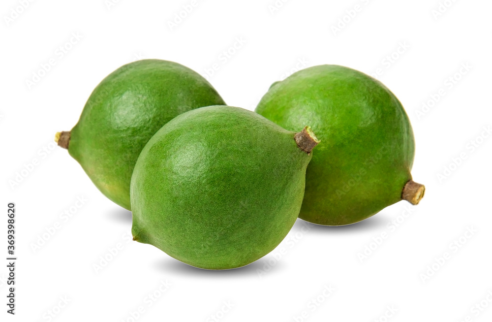 macadamia nuts with leaf isolated on white background.