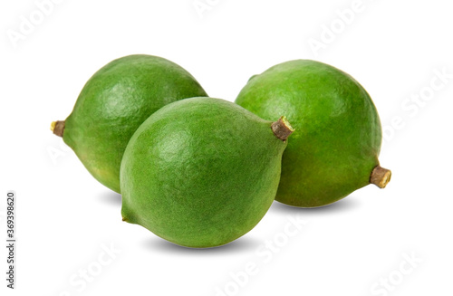 Obraz na płótnie macadamia nuts with leaf isolated on white background. w salonie