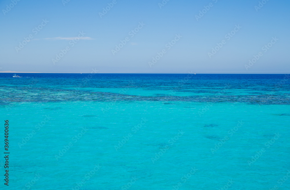 clear sea water of the red sea