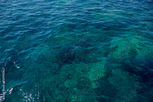 clear sea water of the red sea