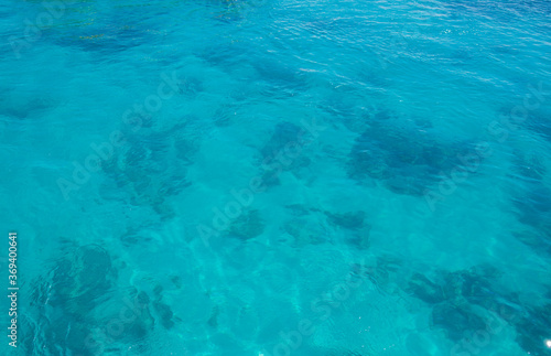 clear sea water of the red sea