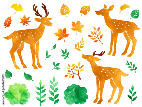 鹿と色々な葉っぱの水彩風イラストセット（緑・紅葉）