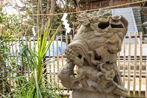 江の島　児玉神社の狛犬 photo