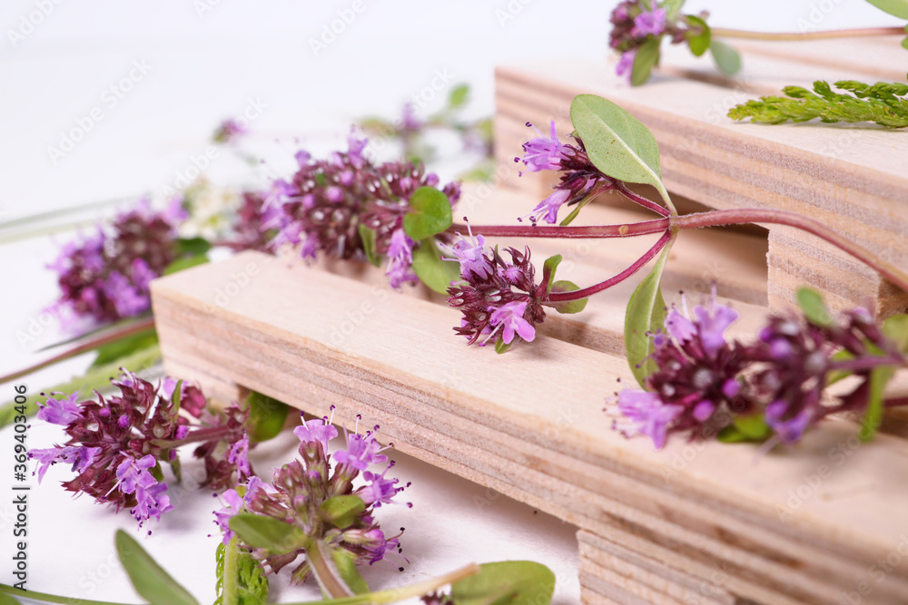 Fresh thyme spice isolated on white background.on a wooden background. close-up Fresh thyme spice isolated on white background.on a wooden background. close-up