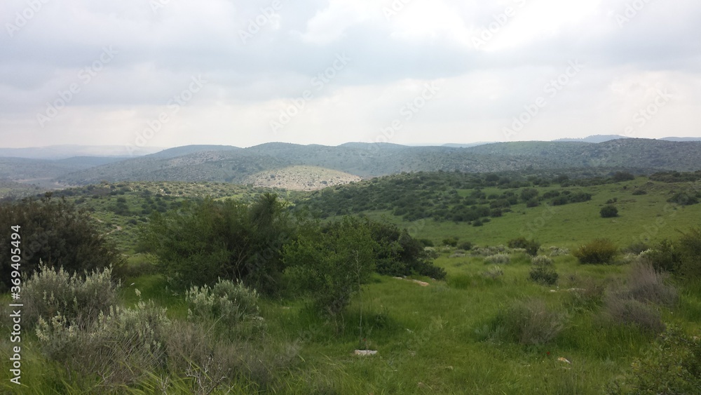 Rock-cut tombs in ancient Israel Horvat Midras