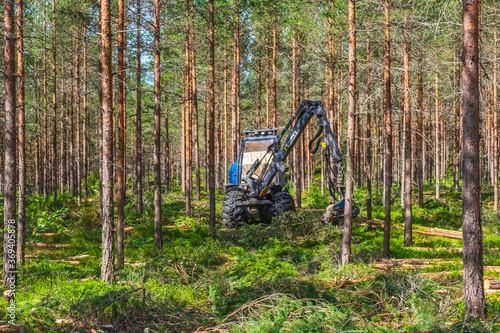 Photography Harvester working with thinning in a pine forest