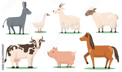 Various animals and pets on farm flat clipart set. Cartoon characters of horse, sheep, pig, goat, goose and donkey isolated vector illustration collection. Village and livestock farming concept