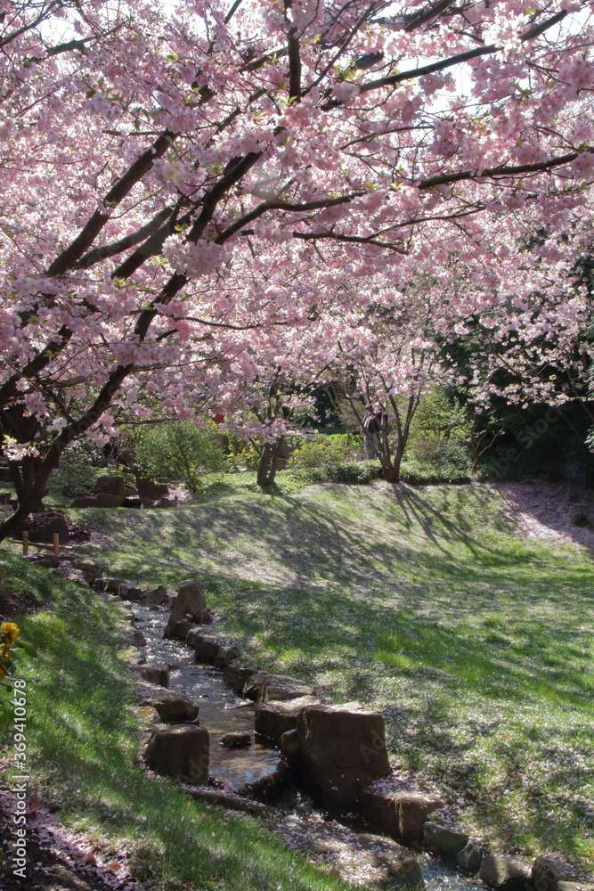 Japanese Garden Japanese Garden