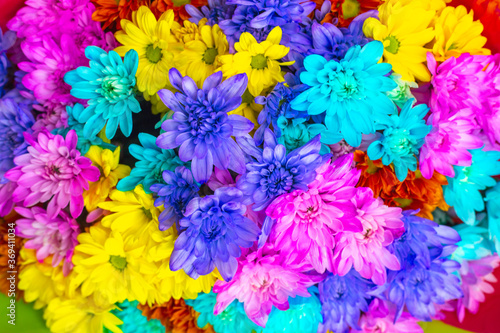 Pink Blue Yellow Red Bunch of Flowers