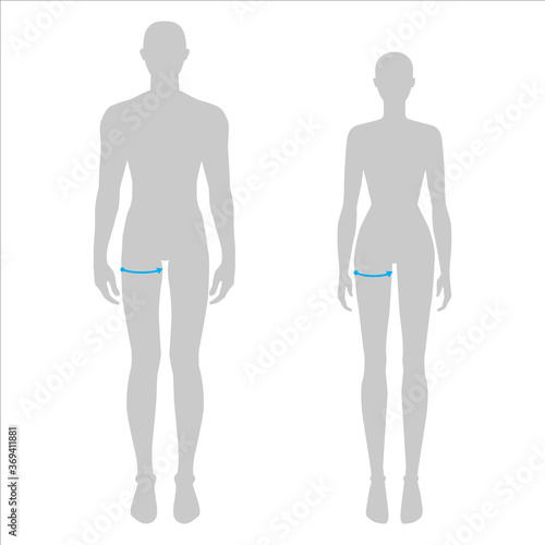 Women and men to do max thigh measurement fashion Illustration for size chart. 7.5 head size girl and boy for site or online shop. Human body infographic template for clothes. 