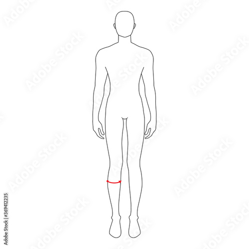Men to do calf measurement fashion Illustration for size chart. 7.5 head size boy for site or online shop. Human body infographic template for clothes. 