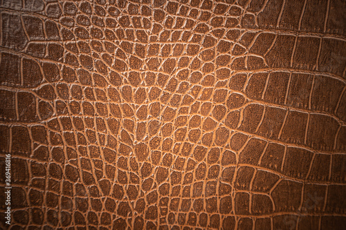 Brown skin leather texture