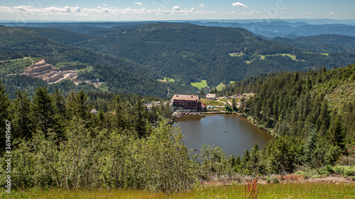 Wallpaper Mural Northern black forest overview Torontodigital.ca