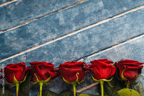 Five red roses on a blue wooden background.