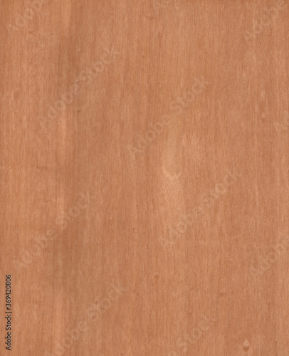 wood wall material burr surface texture background Pattern Abstract brown color wooden, top view