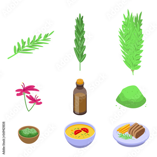 Rosemary icons set. Isometric set of rosemary vector icons for web design isolated on white background