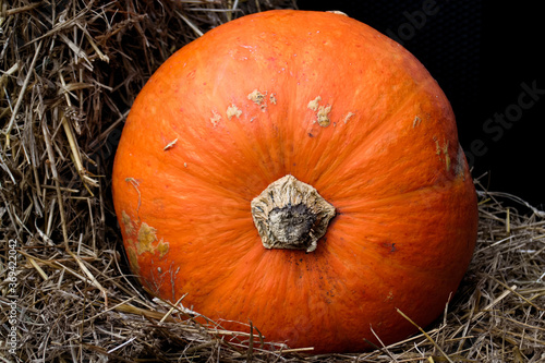 Ripe pumpkin on a haystack on a dark background
