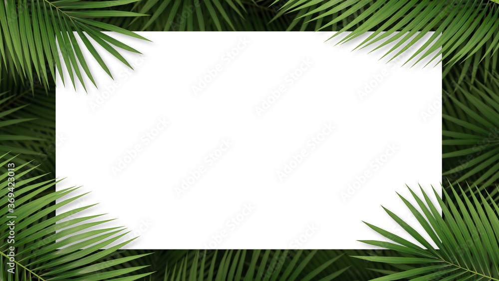 White copy space and palm leaves. Create with Tropical plant concept with flat lay style. 3D illustration