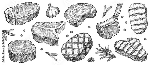 Steak sketch. Hand drawn beef, lamb and pork steak extra or medium rare with garlic, greenery and pepper spice vector collection. Butchery food meat product sketch engraved set isolated on white