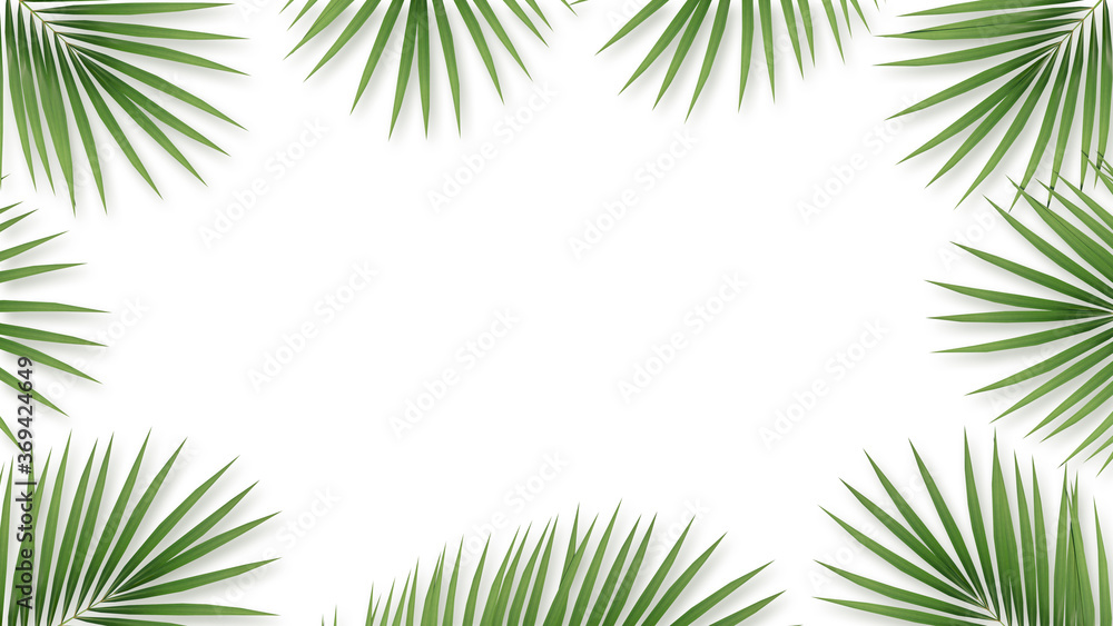 Palm leaves on a white background. and a copy space with flat lay style. Workspace for card and advertise on social media. 3D illustration