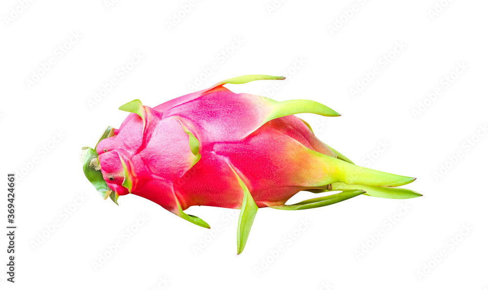 Single dragon fruit or Hylocereus isolated on white background , clipping path