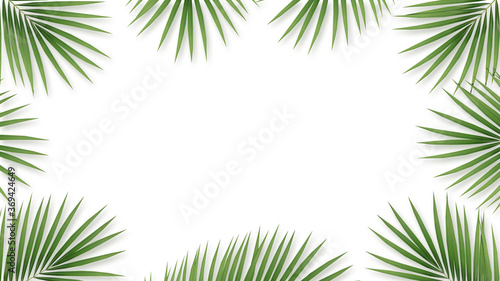 Palm leaves on a white background. and a copy space with flat lay style. Workspace for card and advertise on social media. 3D illustration