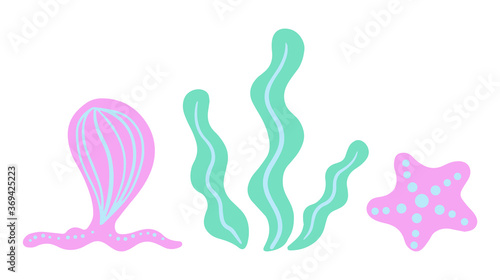 Collection of cute cartoon sea or ocean pink jellyfish and starfish, green seaweed. Marine life, colorful sea creatures or characters. Isolated icons of underwater plant and animals. Sea life