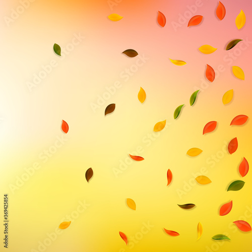 Falling autumn leaves. Red, yellow, green, brown r