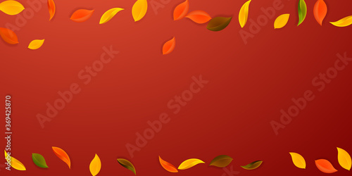 Falling autumn leaves. Red, yellow, green, brown n