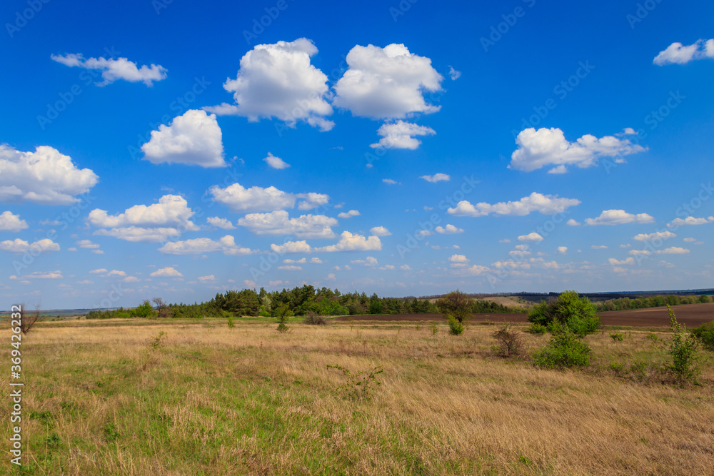 Fototapeta premium Spring landscape with green trees, meadows, fields and blue sky