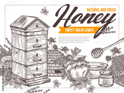 Natural flower floral honey vector drawing poster with wooden hive, pot of sweet dessert, bee, honeycomb, stick. Hand drawb background. Sketch design for beekeeping