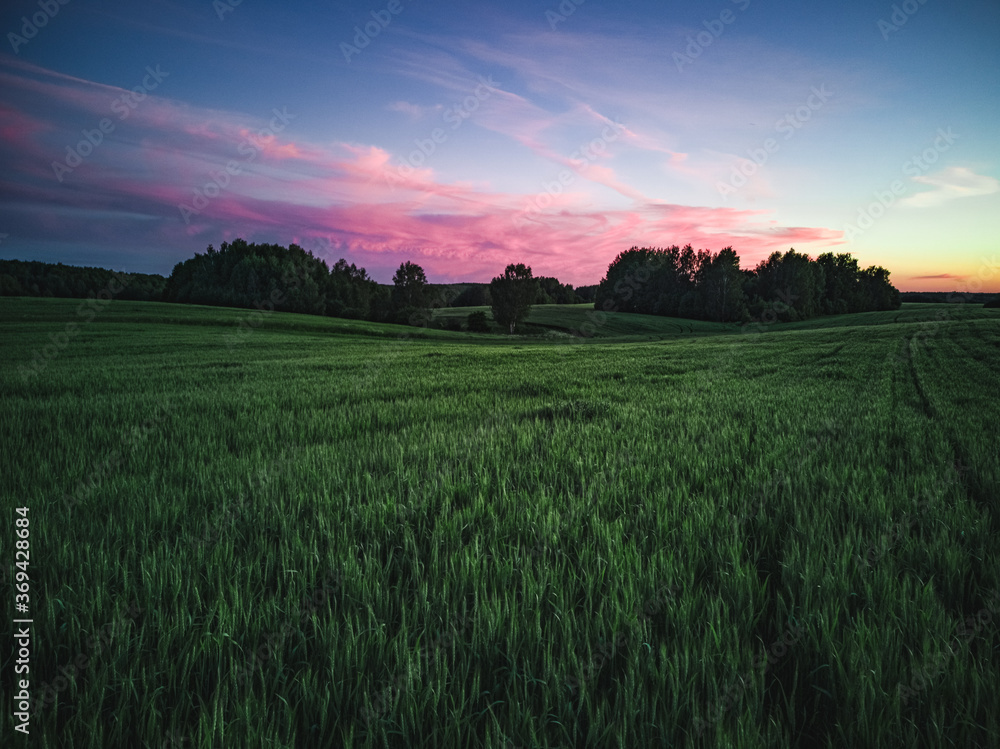 sunset in the field
