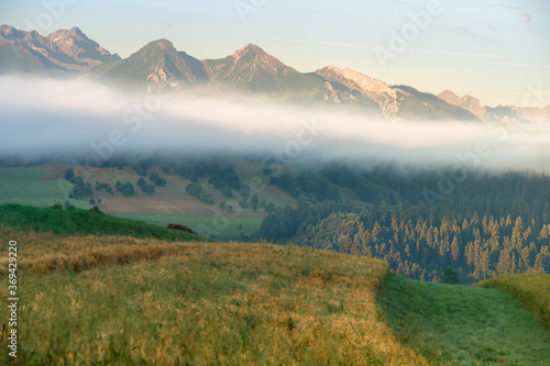 Krajobraz Pienin w oddali widoczne Tatry. Wczesny letni poranek w Pieninach