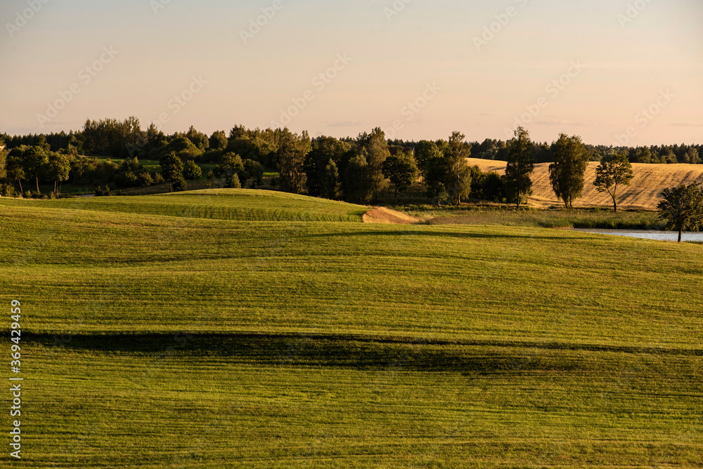 Obraz premium Rural scenery of countryside field in soft light