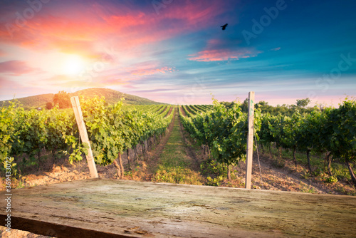 Scenery vineyard along the south Styrian vine route named Suedsteirische Weinstrasse in Austria at sunset  Europe.