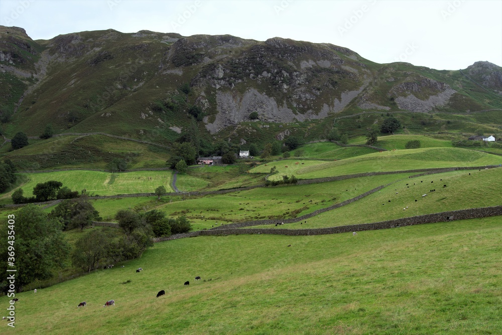 Obraz premium Landscape with green grass and mountains, in Blea Tarn, Little Langdale, Coniston, in the Lake District, Cumbria, England.