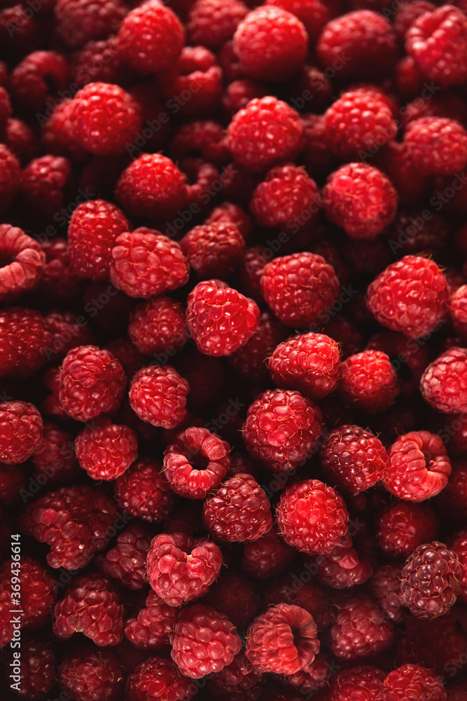 Lots of red ripe raspberries. Raw summer berries texture and background. Healthy food and vitamins concept. Lots of red ripe raspberries. Raw summer berries texture and background. Healthy food and vitamins concept.