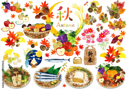 水彩画風 秋のかわいいイラスト1