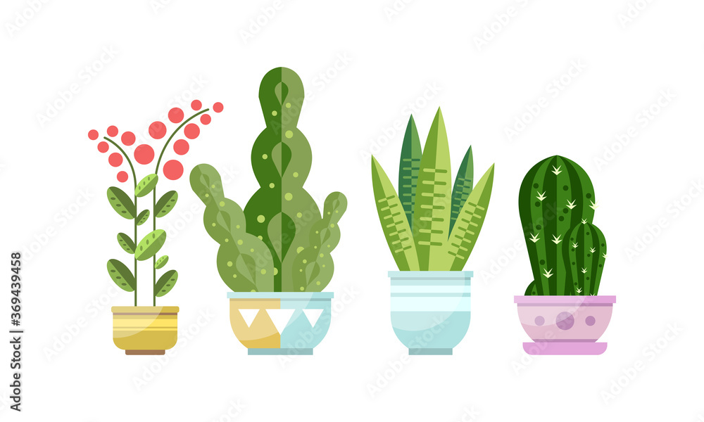 Green Growing Potted Houseplants Set, Home or Office Decorative Plants Flat Style Vector Illustration