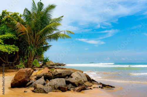 Palms and stones on the sandy beach