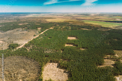 Aerial View Of Deforestation Area Landscape. Green Pine Forest In Deforestation Zone. Top View Of Forest Landscape. Drone View. Bird's Eye View