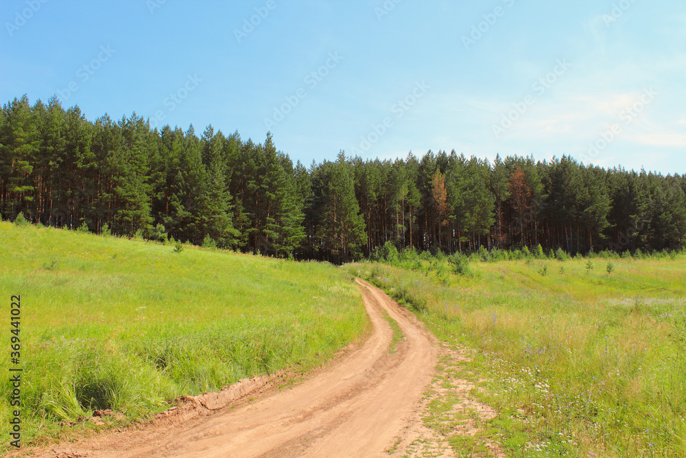 Field road leading to the forest. Selective focus. Beautiful landscape. Background. Field road leading to the forest. Selective focus. Beautiful landscape. Background.