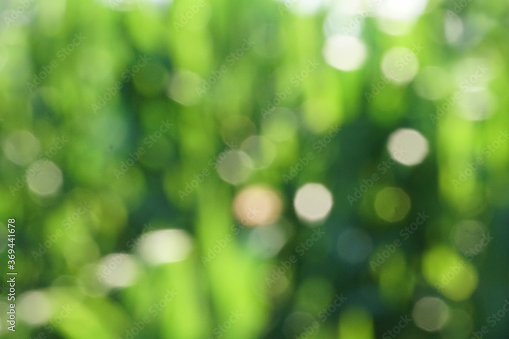 Obraz premium green bokeh background