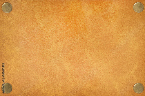 Brown leather and pins on Leather texture background